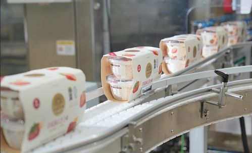 北海牧場首席運營官王悅霖 公司已入駐超1萬家便利店，深耕一二線市場與創新渠道并進
